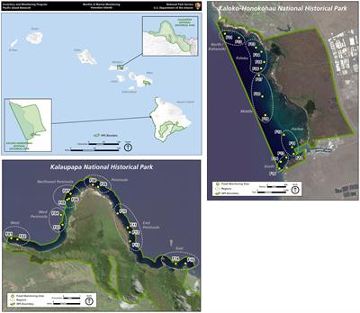 Temporal patterns in coral reef fish assemblages with varying disturbance levels: A tale of two National Parks in Hawai´i